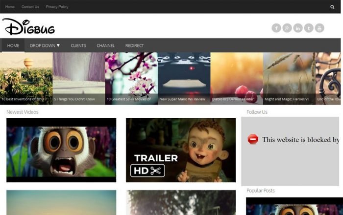 Digbug – Responsive Video Blogger Template