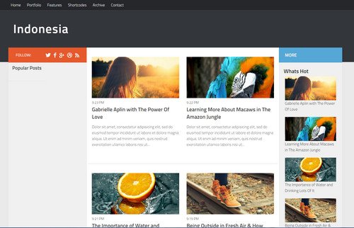 magazine-blogger